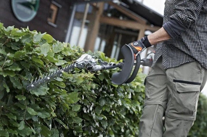 man trimming hedge